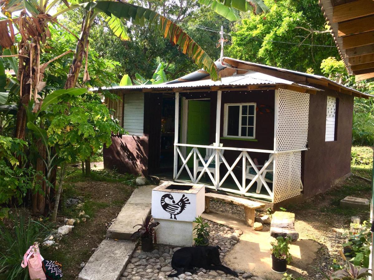 Easymans' Winifred Beach Chalets Port Antonio Exterior photo