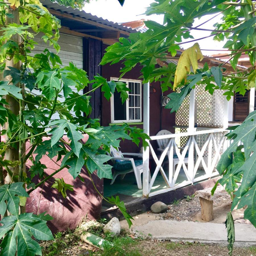 Easymans' Winifred Beach Chalets Port Antonio Exterior photo